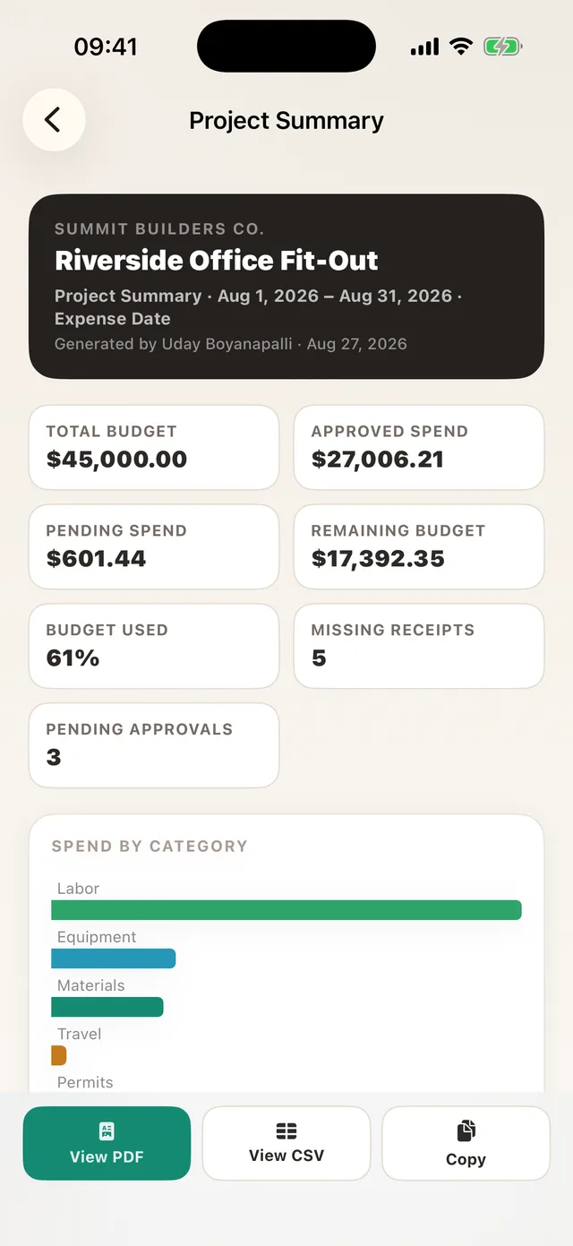 A project expense report preview with totals by category